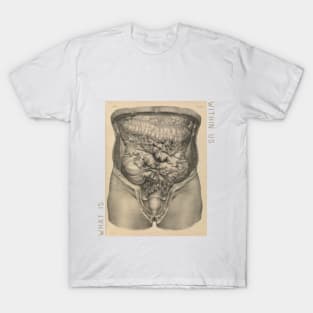 What is Within Us// Abdomen T-Shirt